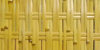 Lado da casca do bambu