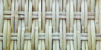 Lado do miolo do bambu